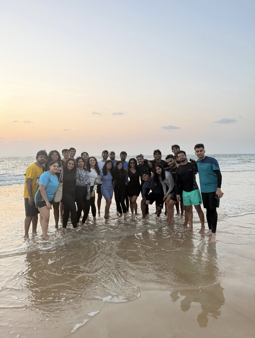 Large Roava group on the beach at golden hour