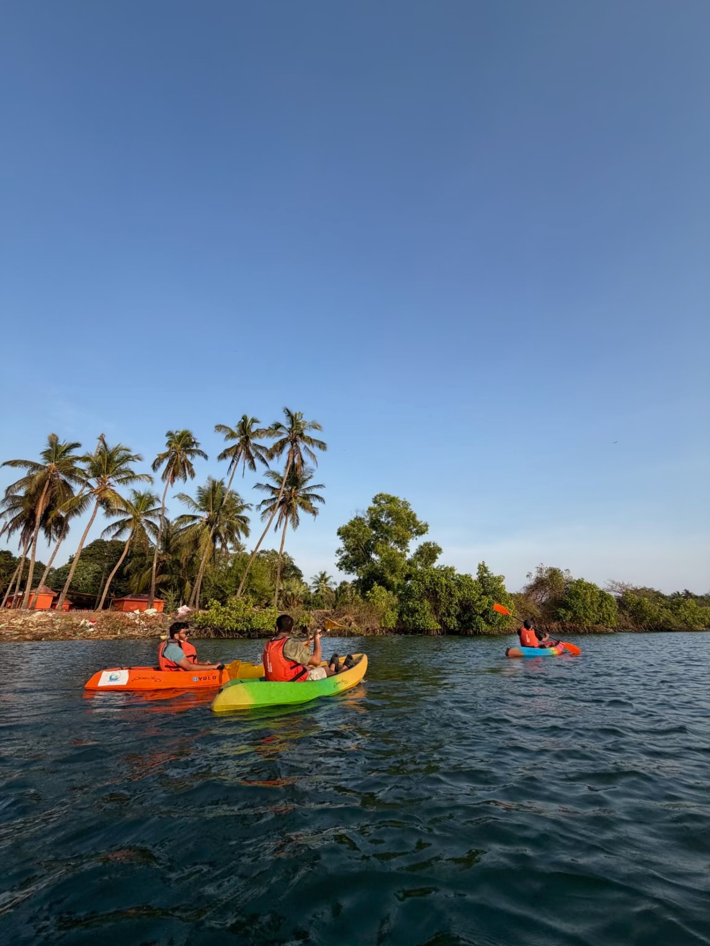Roava group kayaking through the Goa backwaters